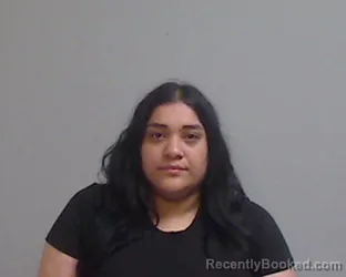 Mugshot of Ariana Grisel Sanchez booked in Hidalgo County, Texas on September 6, 2026