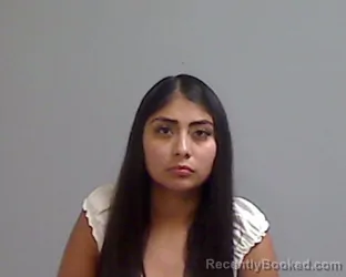 Mugshot of Crystal Elizarraraz booked in Hidalgo County, Texas on September 10, 2026