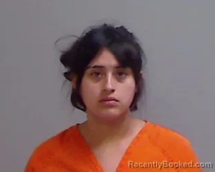 Mugshot of Irma Yasmin Mendiola booked in Hidalgo County, Texas on October 4, 2026
