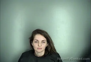 Mugshot of BRITTANY SUMMER BROOKS