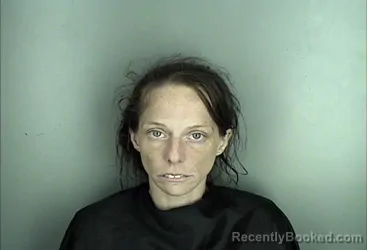 Mugshot of Ellen Lee Gumusdere booked in Greenwood County, South Carolina on August 16, 2026
