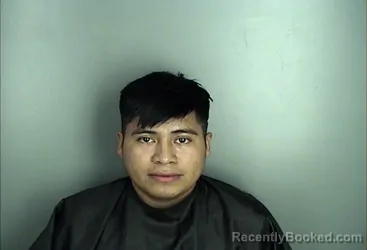 Mugshot of JORGE LUIS ALFARO DE LEON