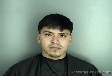 Mugshot of NOLBY ROMAIRO ROLDAN ALFARO