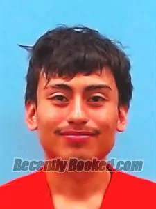 Booking photo from Yell County, Arkansas