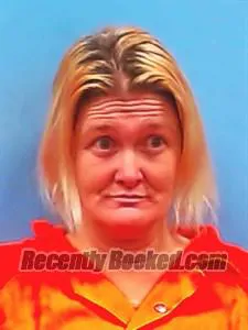 Booking photo from Yell County, Arkansas