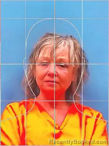 Mugshot of Dana Lynn Sparks