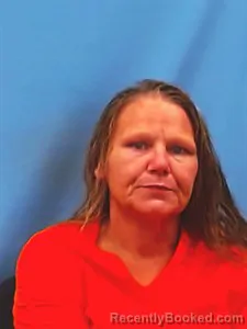 Booking photo from Yell County, Arkansas