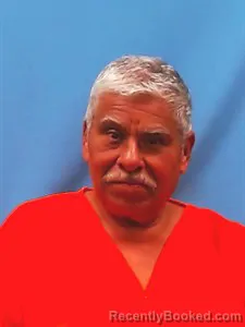 Booking photo from Yell County, Arkansas