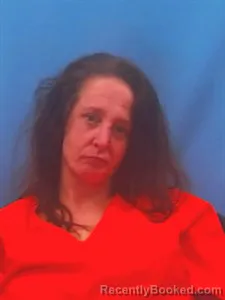 Mugshot of Erica Lynn Essman