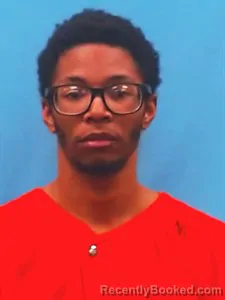 Booking photo from Yell County, Arkansas