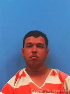 Mugshot of Ganer David Fernadez-Alamo booked in Yell County, Arkansas on April 16, 2026