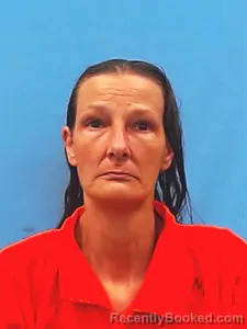 Mugshot of Cynthia Ann Gordon booked in Yell County, Arkansas on May 3, 2026