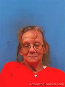 Mugshot of Vickie Lynn Baskin booked in Yell County, Arkansas on May 6, 2026