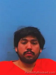Mugshot of Brett Alcocer booked in Yell County, Arkansas on May 7, 2026