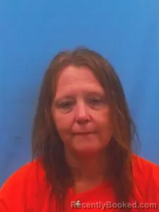 Mugshot of Heather Newman booked in Yell County, Arkansas on June 20, 2026