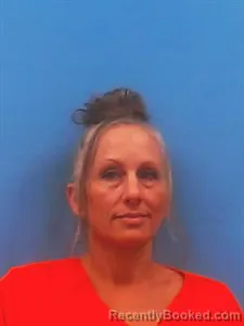 Mugshot of Margaret Annjanett Cain booked in Yell County, Arkansas on June 23, 2026