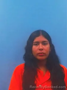 Mugshot of Neli Aleman booked in Yell County, Arkansas on July 1, 2026