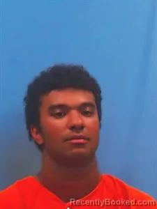 Mugshot of Dominik Delmar Dailey booked in Yell County, Arkansas on July 4, 2026