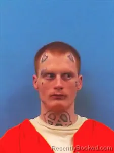 Mugshot of Christopher Gage Brown booked in Yell County, Arkansas on July 8, 2026