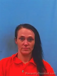 Mugshot of Samantha Howard booked in Yell County, Arkansas on July 13, 2026