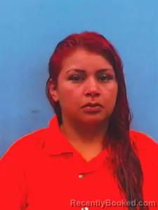 Mugshot of Lissette Carolina Granados booked in Yell County, Arkansas on July 18, 2026