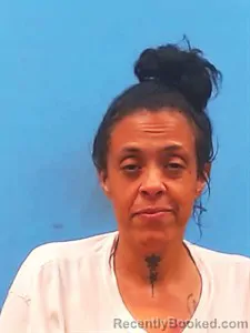 Mugshot of Brandi Dawn Harshberger booked in Yell County, Arkansas on July 24, 2026