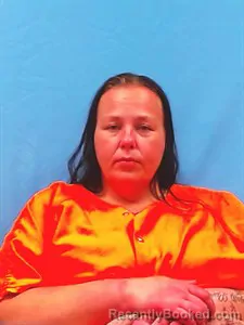 Mugshot of Hollie Crook booked in Yell County, Arkansas on August 13, 2026