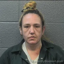 Mugshot of SARAH RENEE MILLS booked in Danville County, Virginia on July 11, 2026