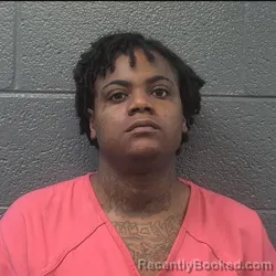 Mugshot of TAYLOR LASHAE STALLINGS booked in Danville County, Virginia on July 12, 2026