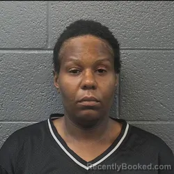 Mugshot of TIANA LOUISE PHILLIPS booked in Danville County, Virginia on July 13, 2026