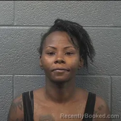 Mugshot of LANAY BRIELLE SWANN booked in Danville County, Virginia on July 15, 2026