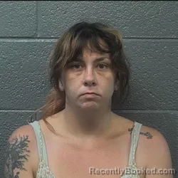 Mugshot of CHRISTINA JANE BARNETTE booked in Danville County, Virginia on July 15, 2026