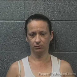Mugshot of CHEYANN RAE SHELTON booked in Danville County, Virginia on July 16, 2026