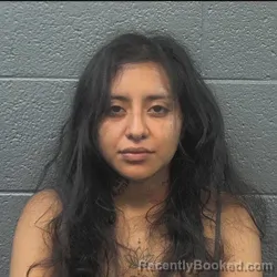 Mugshot of YAHAIRA AGUILERA LOPEZ booked in Danville County, Virginia on July 19, 2026