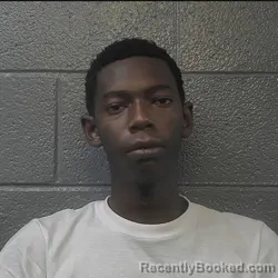 Mugshot of DEONTAE SUDAKA HODGE DOWNEY booked in Danville County, Virginia on July 21, 2026