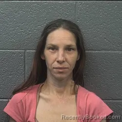 Mugshot of JESSICA ANN CARRIGAN booked in Danville County, Virginia on July 22, 2026
