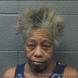 Mugshot of SHERRY LEE WILSON booked in Danville County, Virginia on July 23, 2026