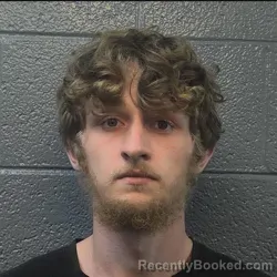 Mugshot of TYLER ISAIAH HARRIS booked in Danville County, Virginia on July 24, 2026