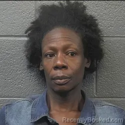 Mugshot of PRESTINA VICTORIA CURTIS booked in Danville County, Virginia on July 25, 2026