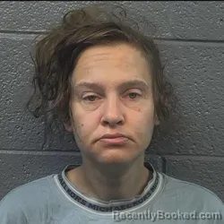 Mugshot of CRYSTAL GAYLE CLAYTON booked in Danville County, Virginia on July 25, 2026