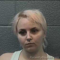Mugshot of SPIRIT CHARLENE FREDERICKS booked in Danville County, Virginia on July 26, 2026