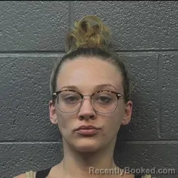 Mugshot of BROOKLYNN RENAE WRENN booked in Danville County, Virginia on July 26, 2026