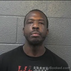 Mugshot of DATAUN FRANKLIN FITZ booked in Danville County, Virginia on July 28, 2026