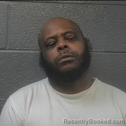 Mugshot of ALVIN LEE WISE booked in Danville County, Virginia on July 31, 2026