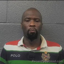 Mugshot of ALTISE SHAHEED BRIDGES booked in Danville County, Virginia on August 4, 2026