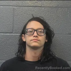 Mugshot of CALEB THOMAS ALLEN booked in Danville County, Virginia on August 4, 2026