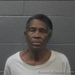 Mugshot of Sharon Renee Sheppard booked in Danville County, Virginia on August 5, 2026