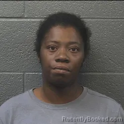 Mugshot of Crystal Faye Brandon booked in Danville County, Virginia on August 22, 2026