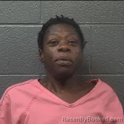 Mugshot of Whitney Rockel Adkins booked in Danville County, Virginia on August 27, 2026