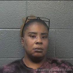 Mugshot of Nitika Sharon Powell booked in Danville County, Virginia on August 27, 2026